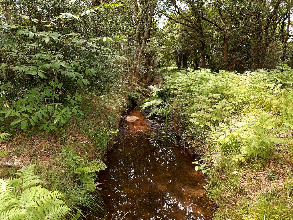 Zone humide, Sainte Eulalie, Jibi44, CC BY-SA 4.0